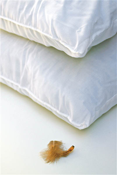 We clean and renovate feather pillows to bring them back to life