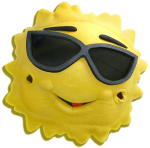 Team mascots like this Mr. Sunshine bring a smile to our staff when they come in to be cleaned