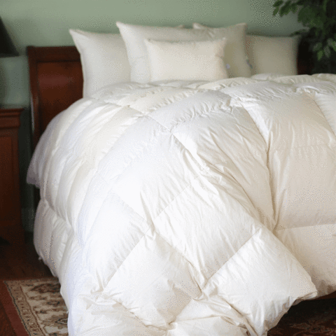 Feather Down Comforter Cleaning