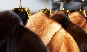 Fur Coats & Accessories